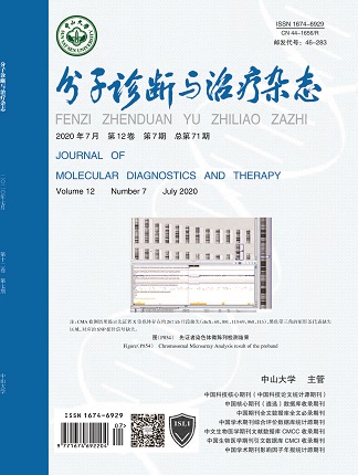 Starbo星宝(中国集团)官方网站