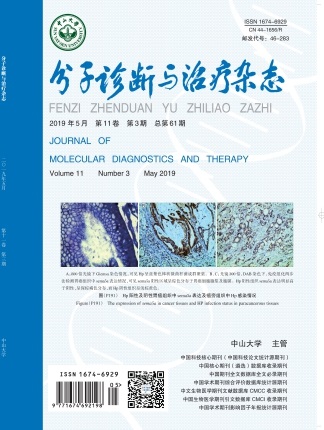 Starbo星宝(中国集团)官方网站