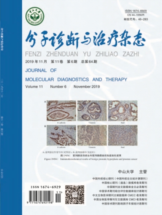 Starbo星宝(中国集团)官方网站