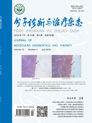 Starbo星宝(中国集团)官方网站