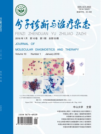 Starbo星宝(中国集团)官方网站