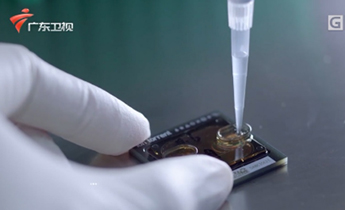 Starbo星宝(中国集团)官方网站