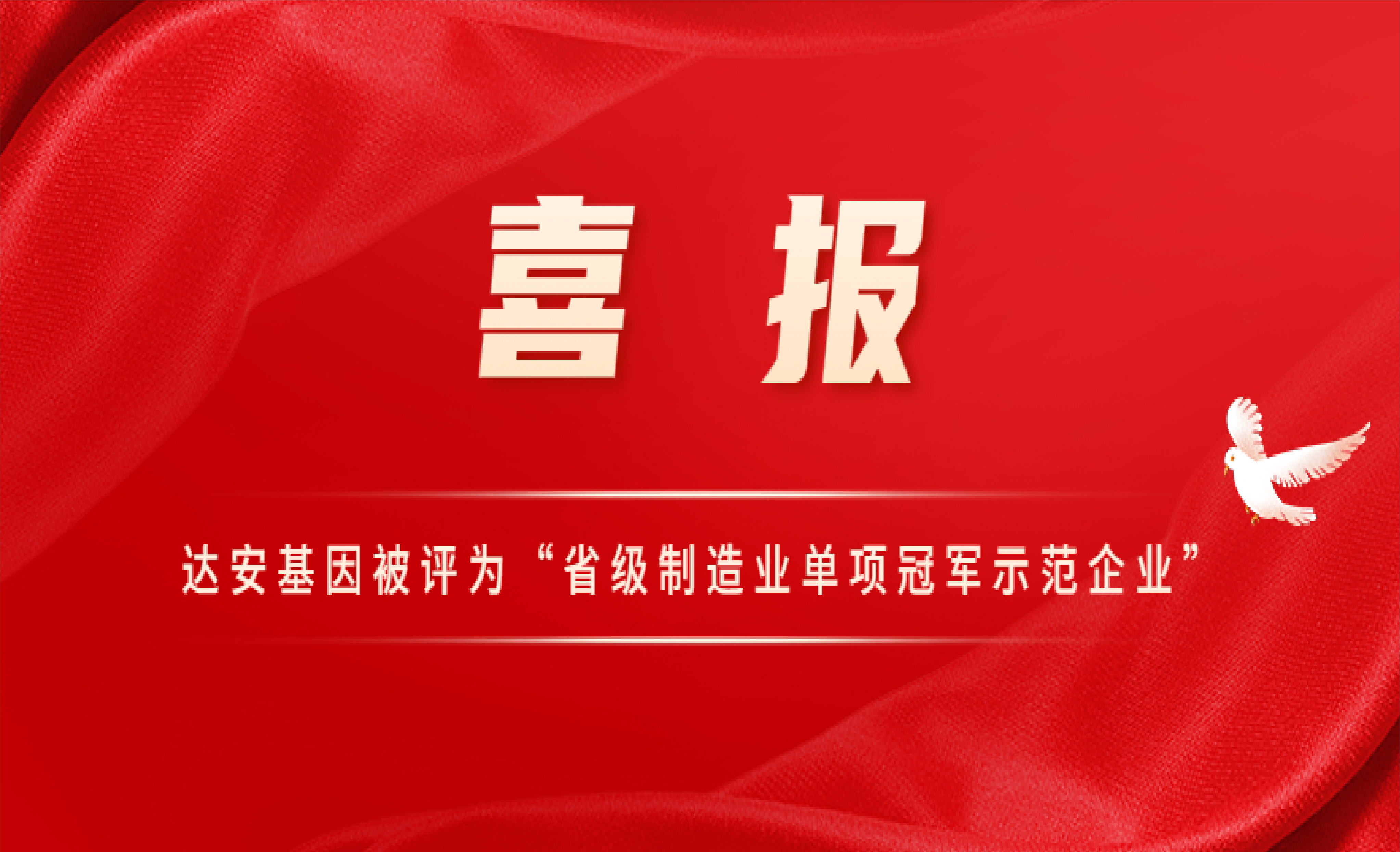 Starbo星宝(中国集团)官方网站