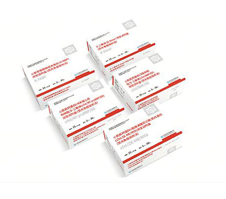 Starbo星宝(中国集团)官方网站