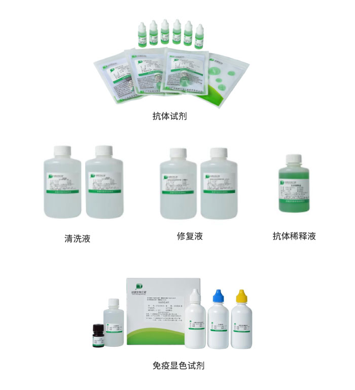 Starbo星宝(中国集团)官方网站