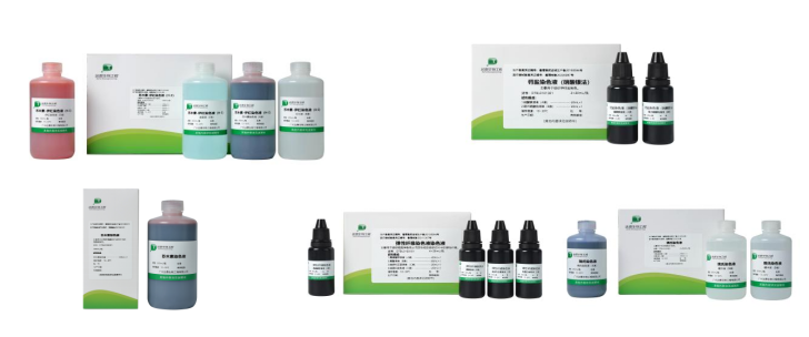 Starbo星宝(中国集团)官方网站